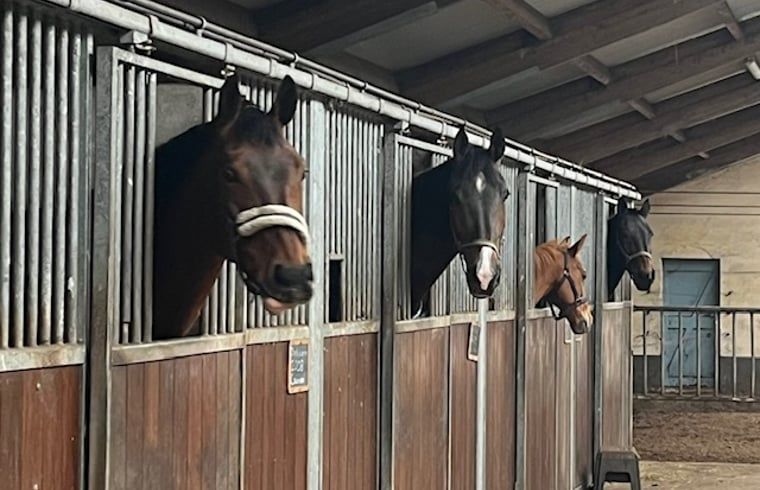 Unterkunft 540841 - Ferienhaus Vechtstreek - Huisje in Balkbrug