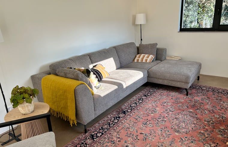 Comfortabele bank in woonkamer van Huisje in Balkbrug