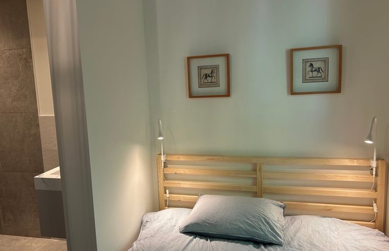 Verblijf 540856 - Vakantiewoning Vechtstreek - Huisje in Balkbrug