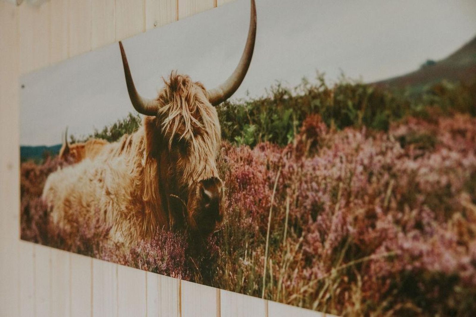 Unterkunft 540865 - Ferienhaus Vechtstreek - Tiny house XL
