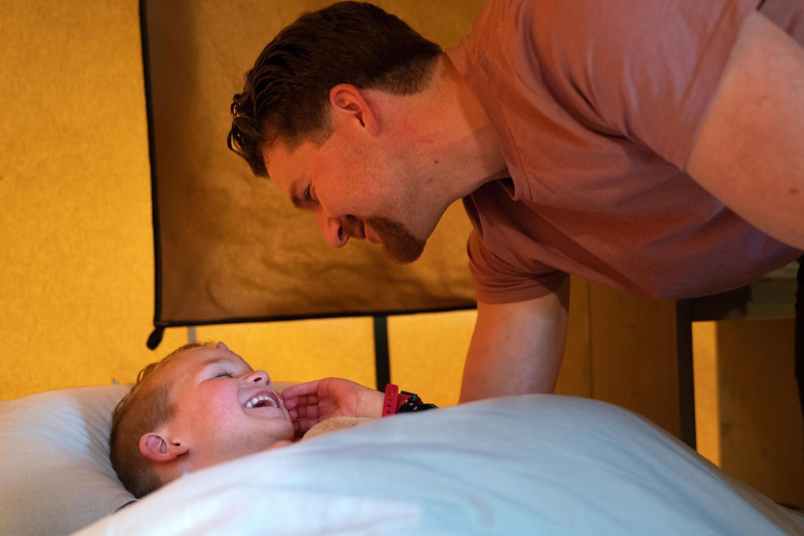 Unterkunft 540867 - Ferienhaus Vechtstreek - Ranger lodge