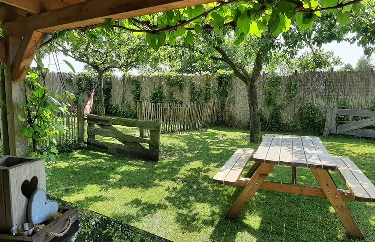 Schaduwrijke picknickplek in de tuin van Vakantiehuis in Balkbrug.
