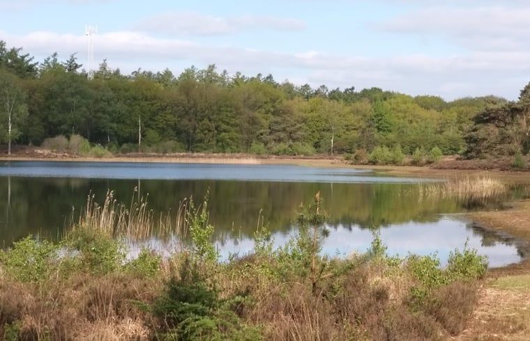 Natuurlijke schoonheid van meer in de buurt van Vakantiehuis in Balkbrug.