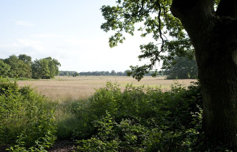 Weids uitzicht over velden bij Vakantiehuis in Balkbrug, Overijssel.