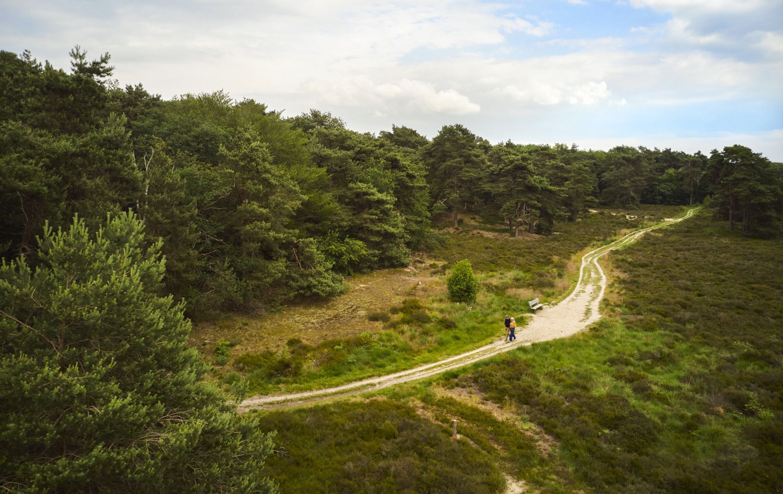 Guest house 540875 - Holiday property Vechtstreek - Reestdal loft