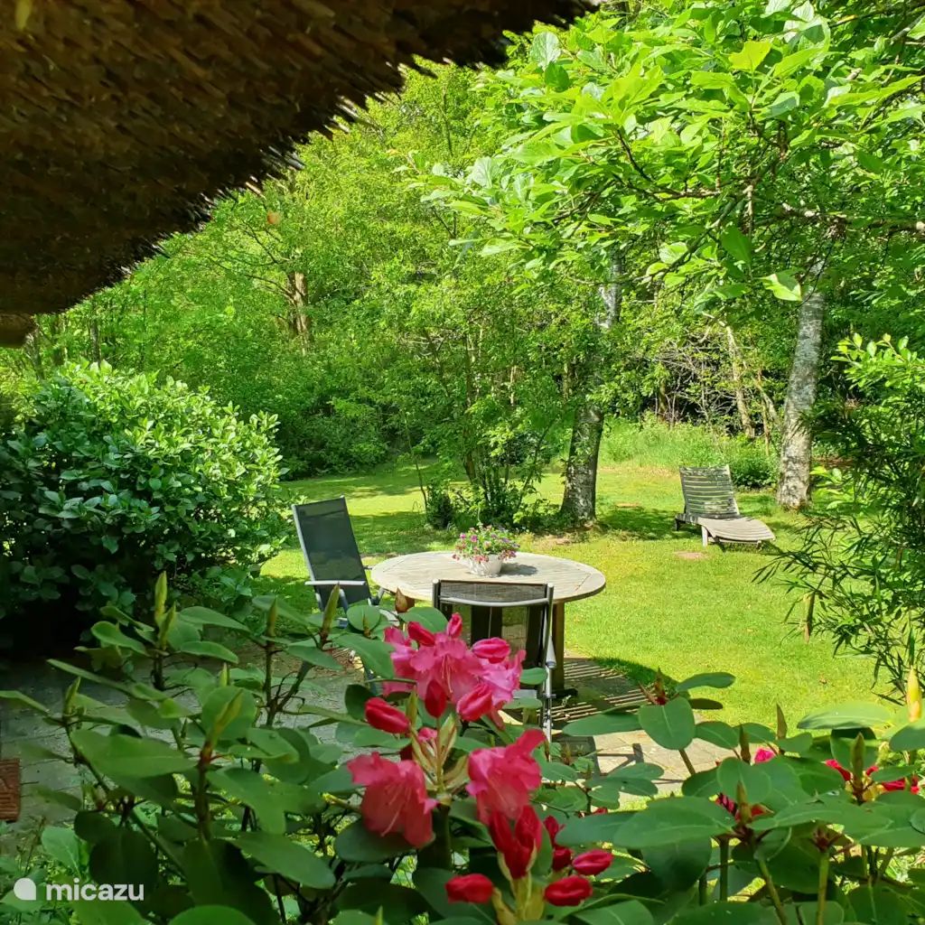 Guest house 540882 - Holiday property Vechtstreek - Vakantiehuisje Reestdal