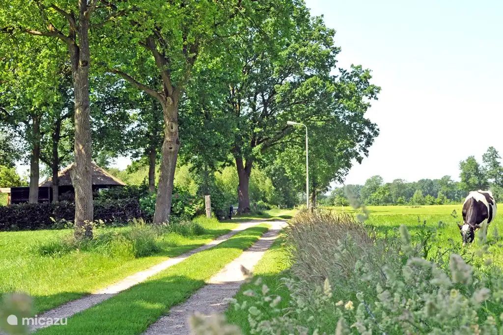 Unterkunft 540883 - Ferienhaus Vechtstreek - Hutje aan de Wei