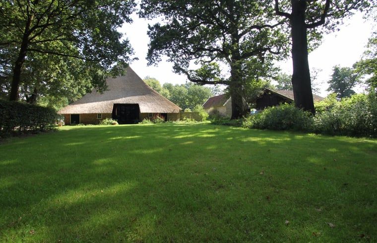 Grote tuin met bomen bij Vakantiehuis in Lemele, Archem, omgeven door natuur, Overijssel.