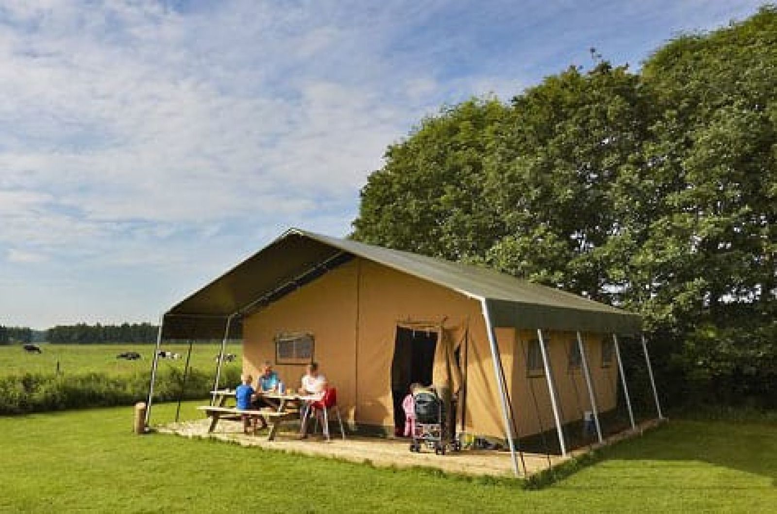 Ruime Safaritent in Rheeze, Overijssel, met veranda en uitzicht op groene omgeving, ideaal voor een glamping ervaring.