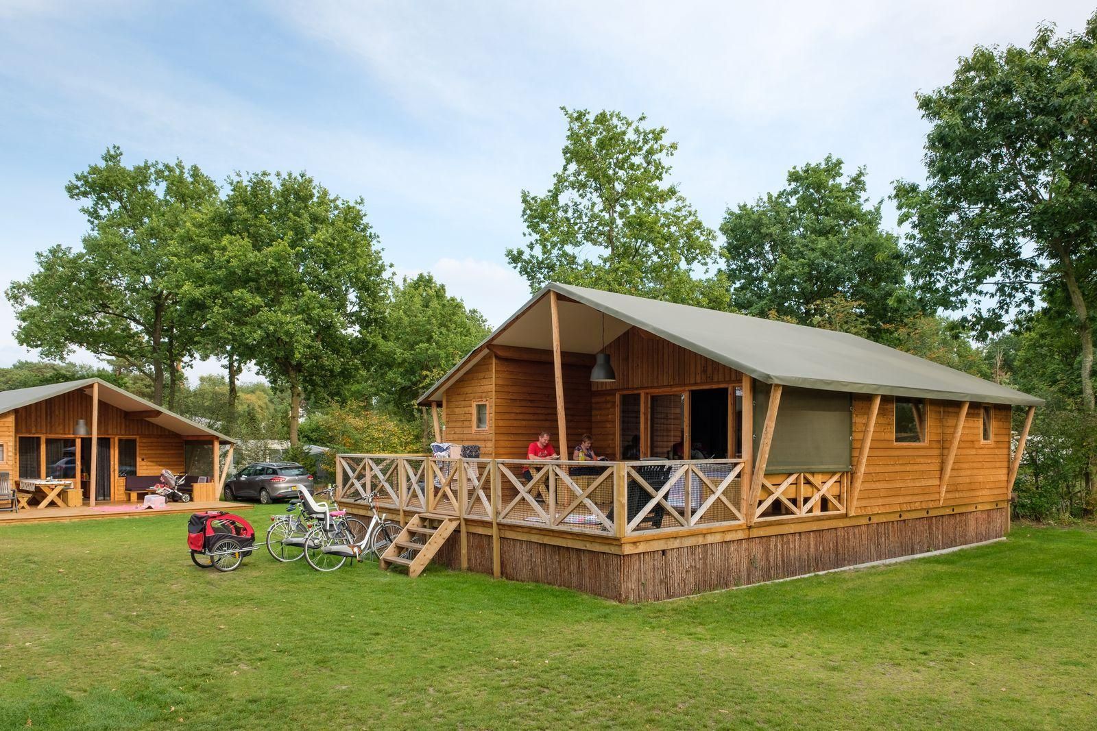 Unterkunft 541122 - Ferienhaus Vechtstreek - Rheezerlodge DeLuxe hoog
