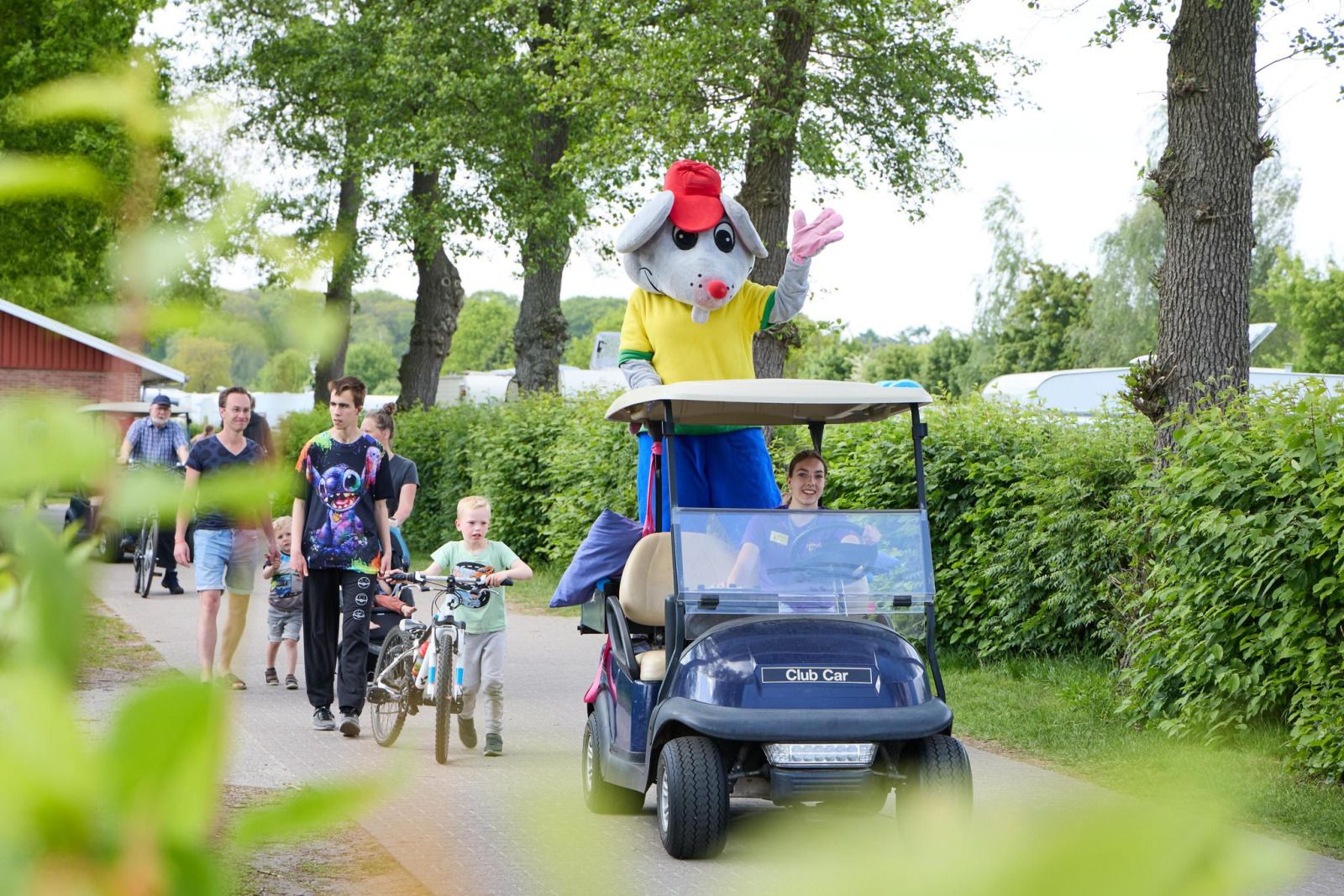 Guest house 541124 - Tent house Vechtstreek - Comfort safaritent