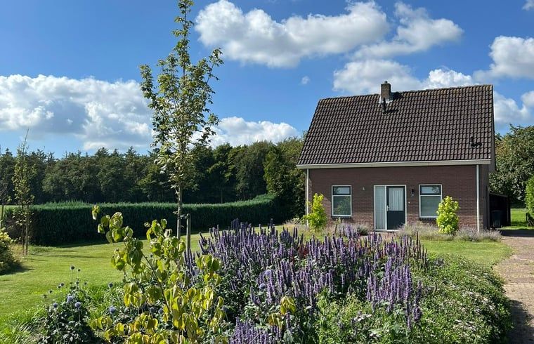 Ferienhaus in Rheezerveen mit Blumen und gruener Umgebung in der Region Vecht, Overijssel.