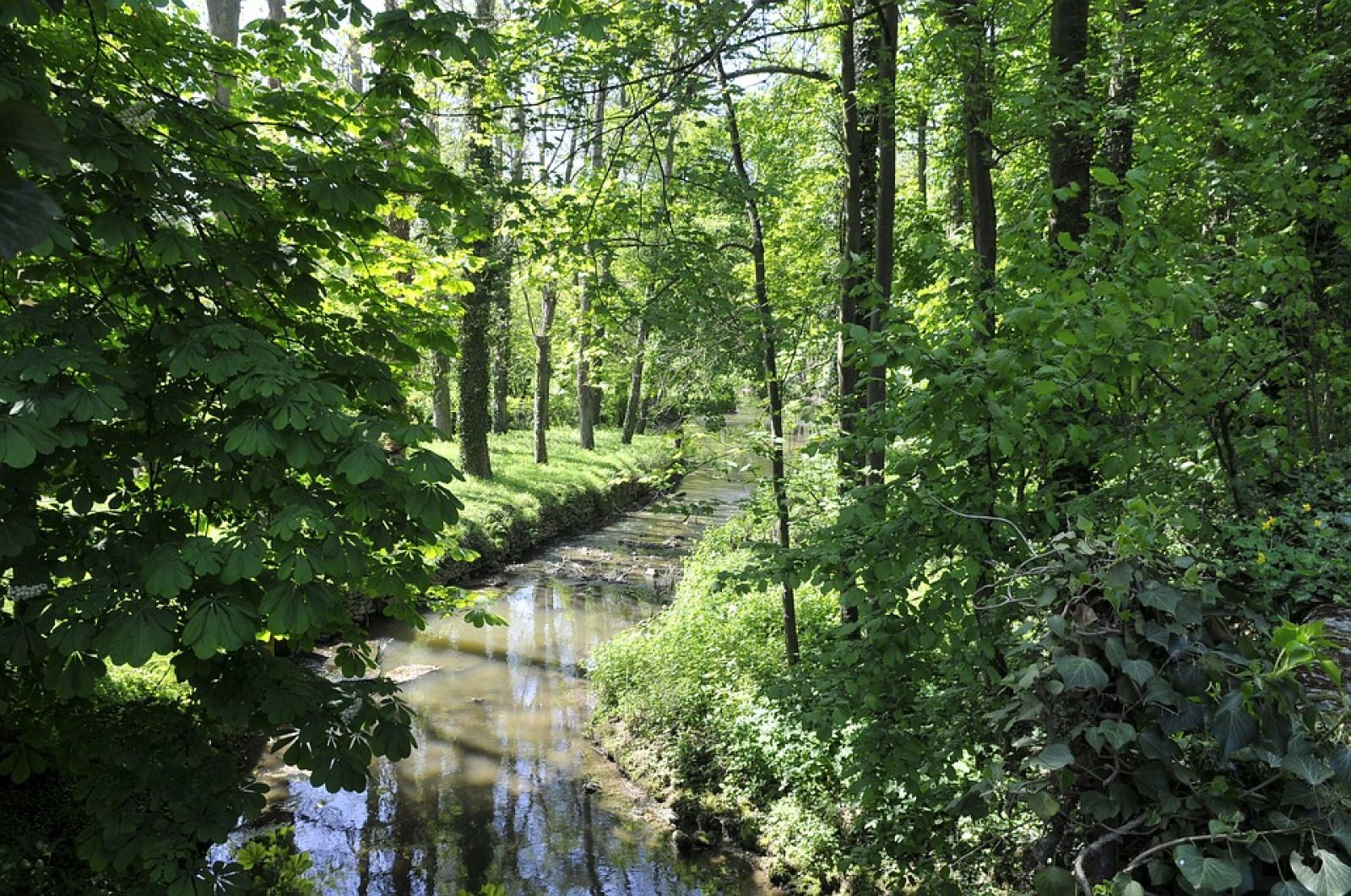 Unterkunft 541231 - Ferienhaus Vechtstreek - OV653