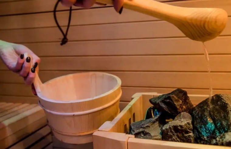 Traditionelle Sauna im Ferienhaus in Rheezerveen, Vechtstreek, Overijssel fuer ultimative Entspannung.