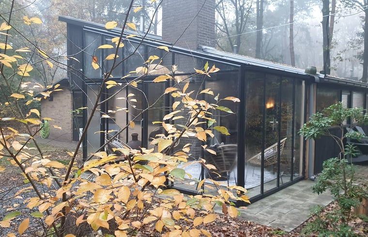 Aussenansicht des Ferienhauses in Rheezerveen, Region Vecht, Overijssel, umgeben von ueppiger Natur.