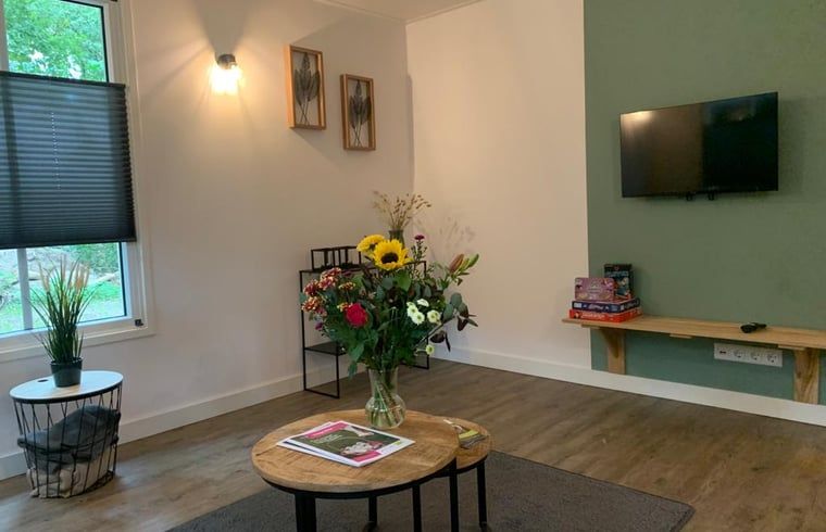 Spacious living room in Holiday Home in Marienberg, Vechtstreek, Overijssel, with modern furnishings.