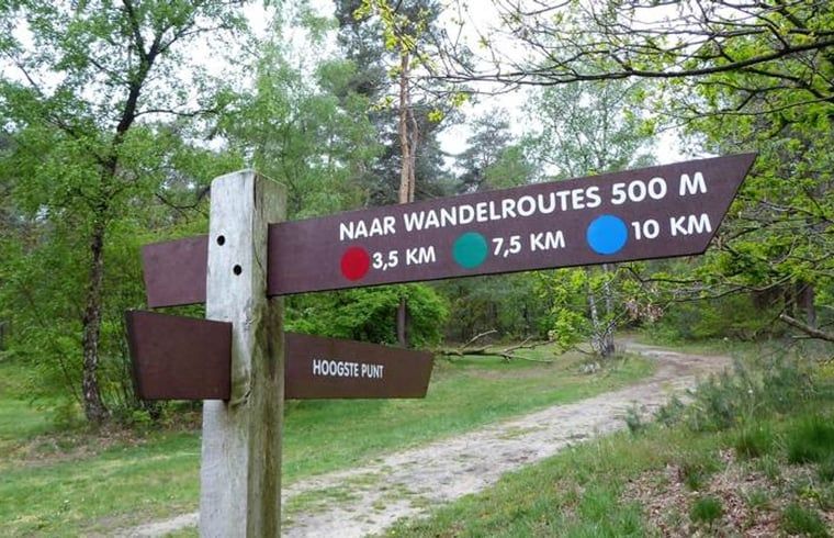 Hiking trails near Holiday home in Marienberg, Vecht region, Overijssel.