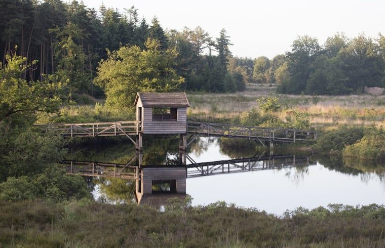 Nature reserve near Holiday home in Marienberg, Vecht region, Overijssel, with wooden bridge.