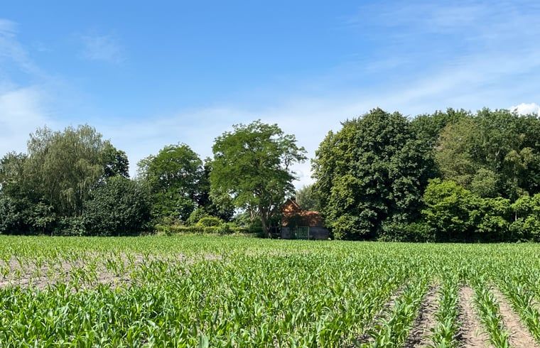 Guest house 541703 - Holiday property Vechtstreek - Vakantiehuisje in Ommen