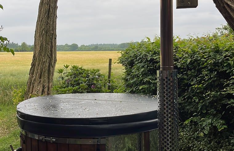 Guest house 541703 - Holiday property Vechtstreek - Vakantiehuisje in Ommen