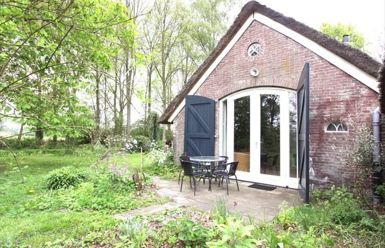 Ferienhaus in Arrien (Ommen), schoener Aussenbereich mit Terrasse in der Region Vecht, Overijssel.