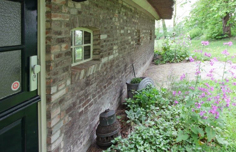 Attraktiver Weg zum Ferienhaus in Arrien (Ommen), umgeben von Gruen, Region Vecht, Overijssel.