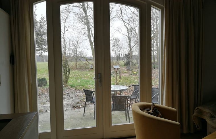 Blick vom Ferienhaus in Arrien (Ommen) auf Terrasse und Natur, Vechtstreek, Overijssel.