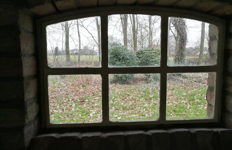 Blick aus dem Fenster des Ferienhauses in Arrien (Ommen) auf die gruene Umgebung, Vechtstreek, Overijssel.