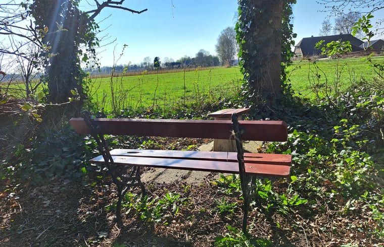 Rustikale Bank im Garten des Ferienhauses in Arrien (Ommen) mit Blick auf Wiesen, Region Vecht, Overijssel.