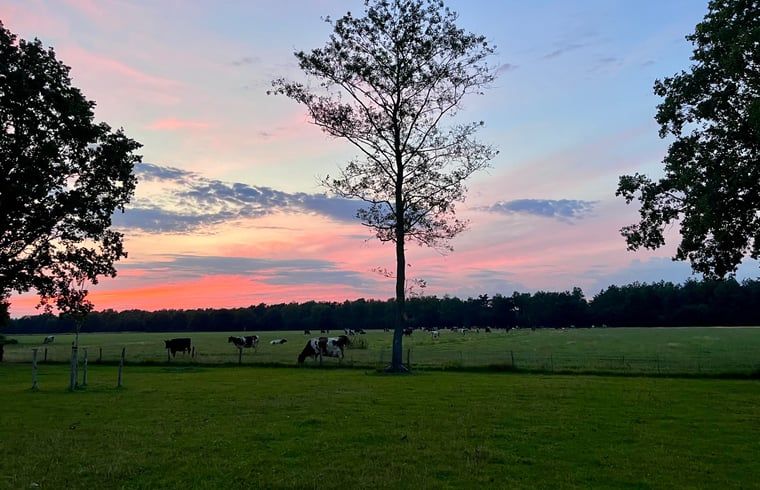 Atemberaubender Sonnenuntergang ueber den Wiesen beim Ferienhaus in Arrien, Vechtstreek, Overijssel.