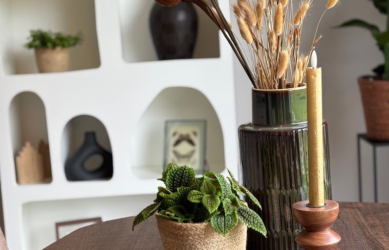 Unterkunft 541707 - Ferienhaus Vechtstreek - Vakantiehuisje in Arriën