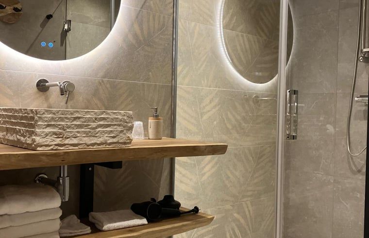 Stylish bathroom in Holiday Home in Giethmen, Overijssel, with modern sink and luxury shower for ultimate comfort.