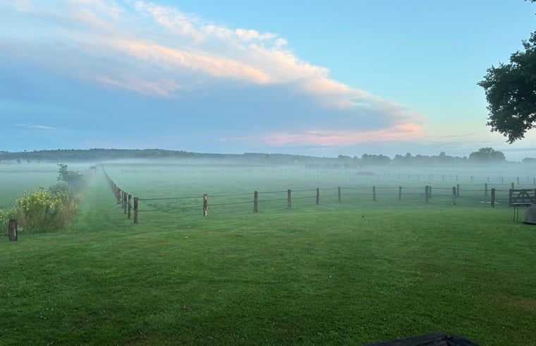 Morgennebel ueber der Wiese beim Ferienhaus in Giethmen, Region Vecht, mit schoener Aussicht in Overijssel.