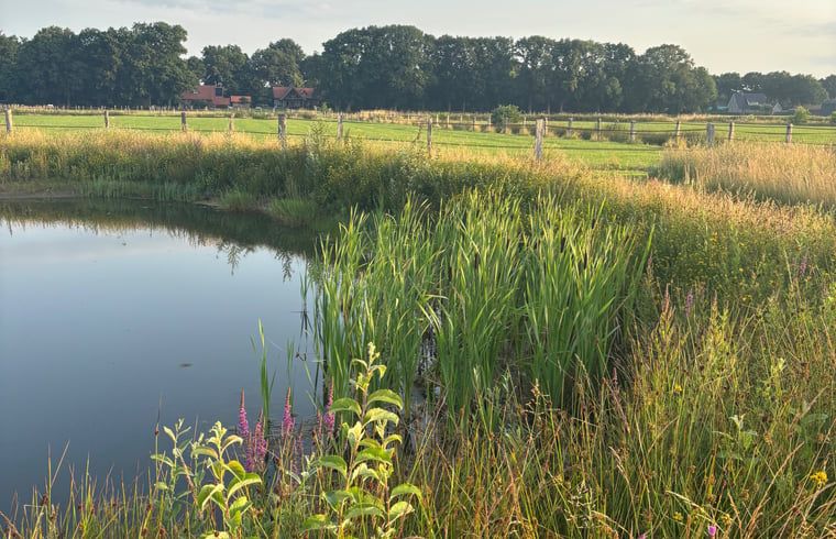 Ruhiger Teich beim Ferienhaus in Giethmen, Region Vecht, mit gruenen Ufern und ruhiger Atmosphaere in Overijssel.
