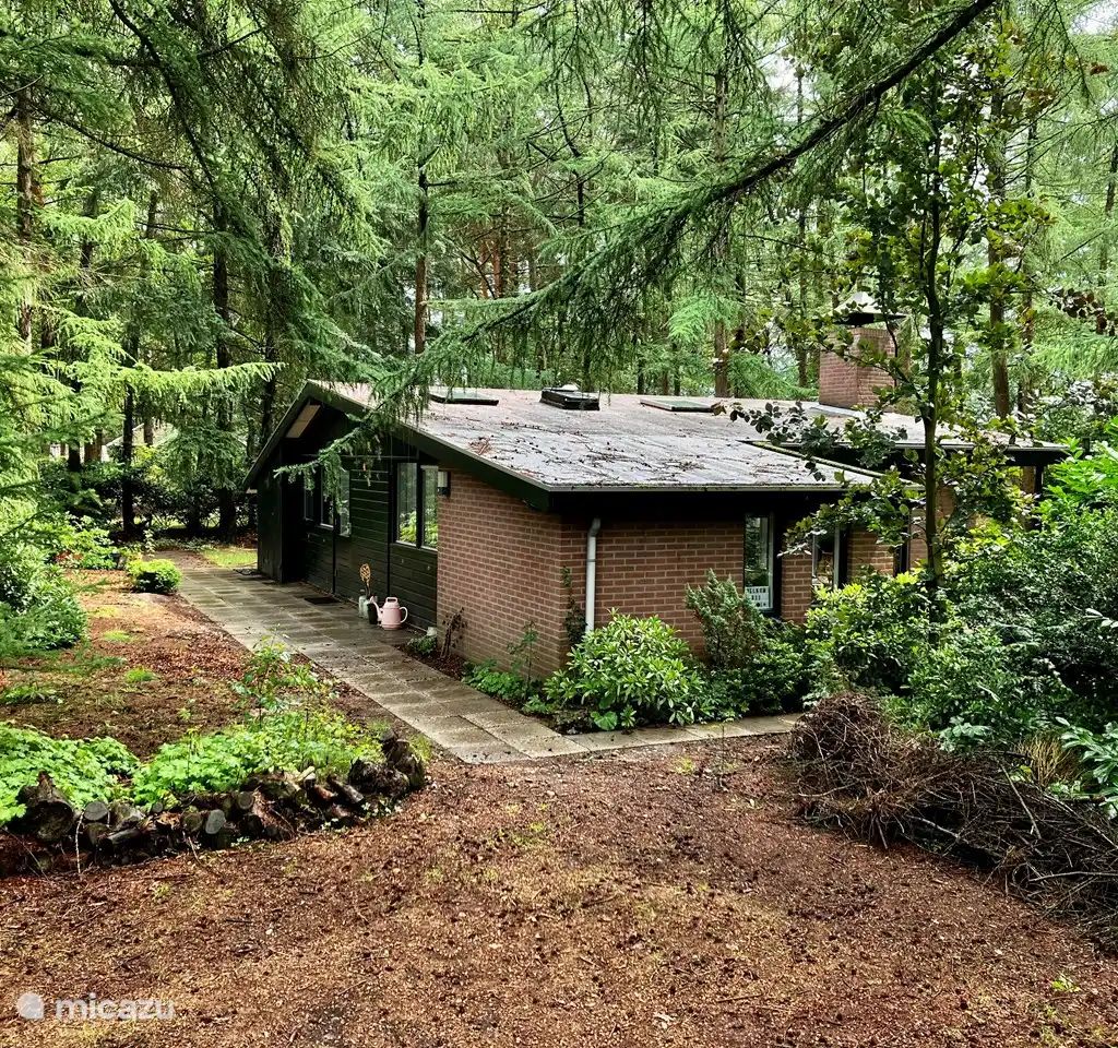 Verblijf 541814 - Bungalow Vechtstreek - Boshuisje de Lariks