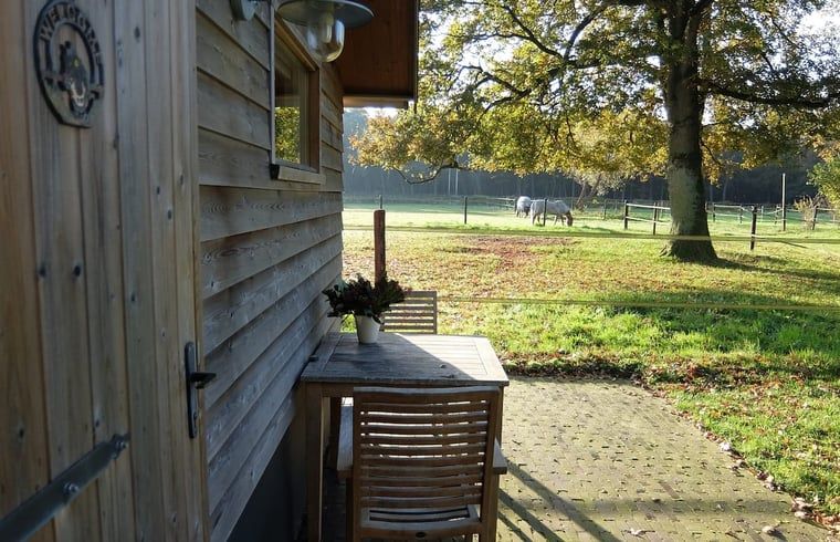 Unterkunft 541816 - Ferienhaus Vechtstreek - Huisje in Giethmen