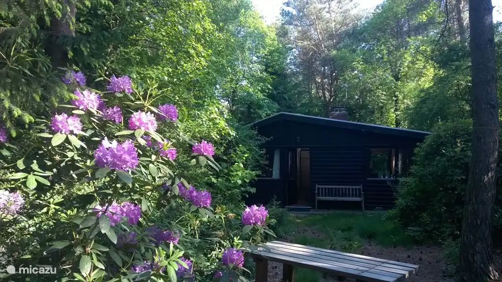 Verblijf 541821 - Bungalow Vechtstreek - Huisje 140