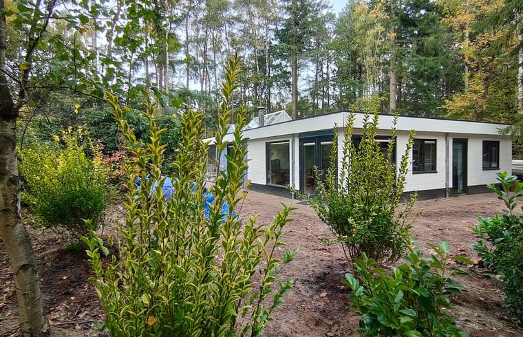 Unterkunft 542406 - Ferienhaus Vechtstreek - Vakantiehuis in Vilsteren