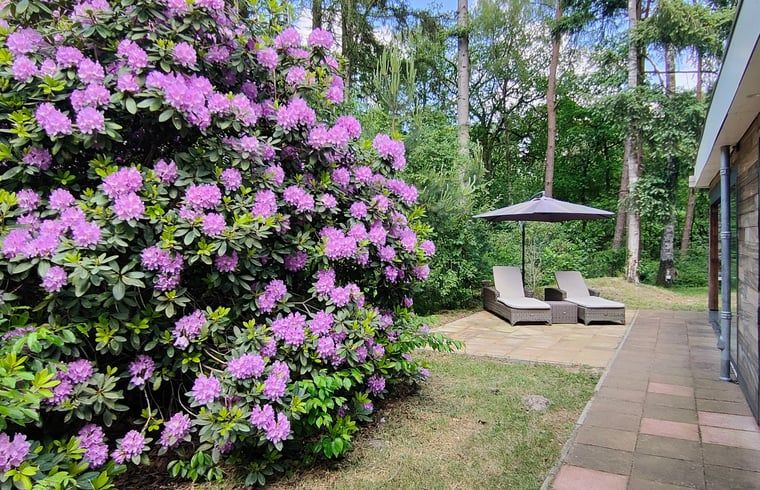 Unterkunft 542406 - Ferienhaus Vechtstreek - Vakantiehuis in Vilsteren