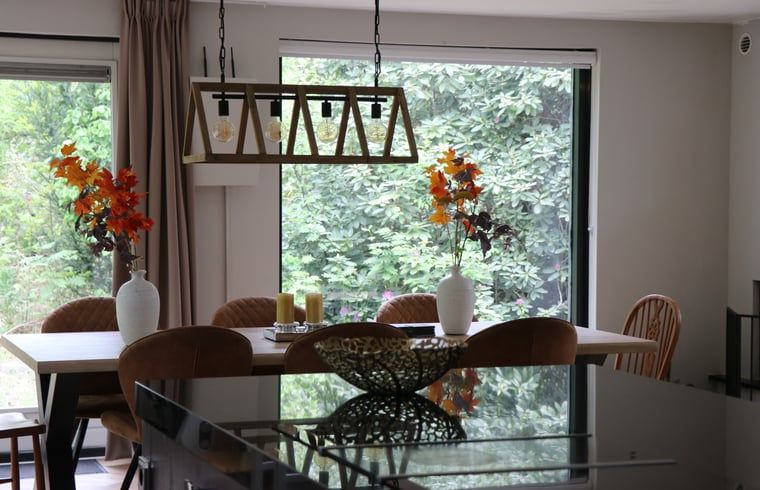 Unterkunft 542406 - Ferienhaus Vechtstreek - Vakantiehuis in Vilsteren