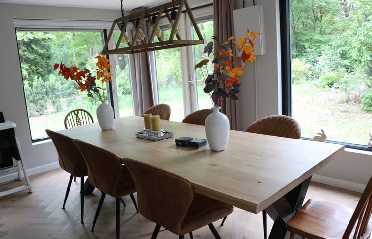 Unterkunft 542406 - Ferienhaus Vechtstreek - Vakantiehuis in Vilsteren