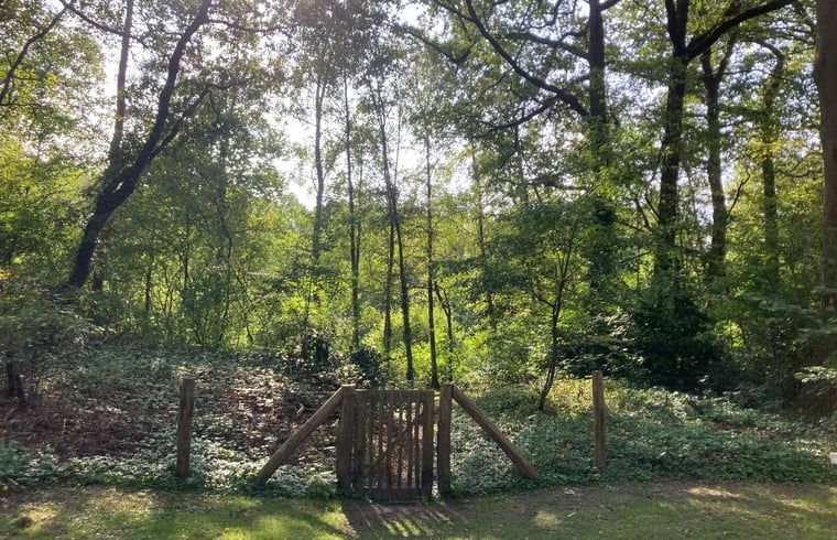 Unterkunft 542408 - Ferienhaus Vechtstreek - Vakantiehuisje in Vilsteren