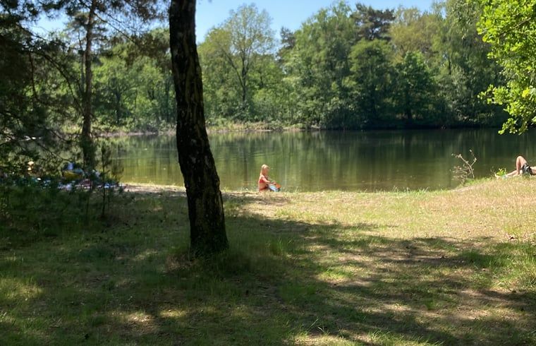Unterkunft 542408 - Ferienhaus Vechtstreek - Vakantiehuisje in Vilsteren