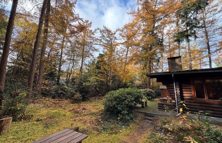 Guest house 542512 - Holiday property Vechtstreek - Huisje in Bergentheim