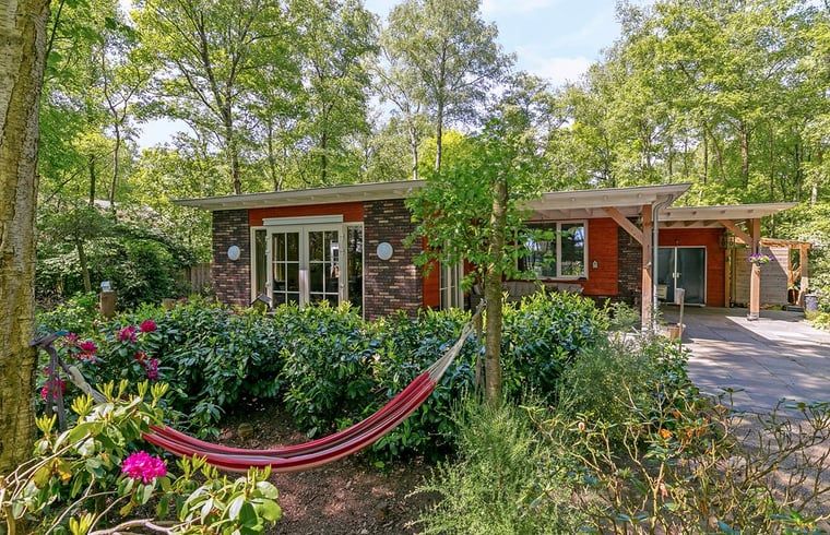 Vakantiehuis in Bergentheim met hangmat in de tuin, omgeven door groene natuur in de Vechtstreek, Overijssel.