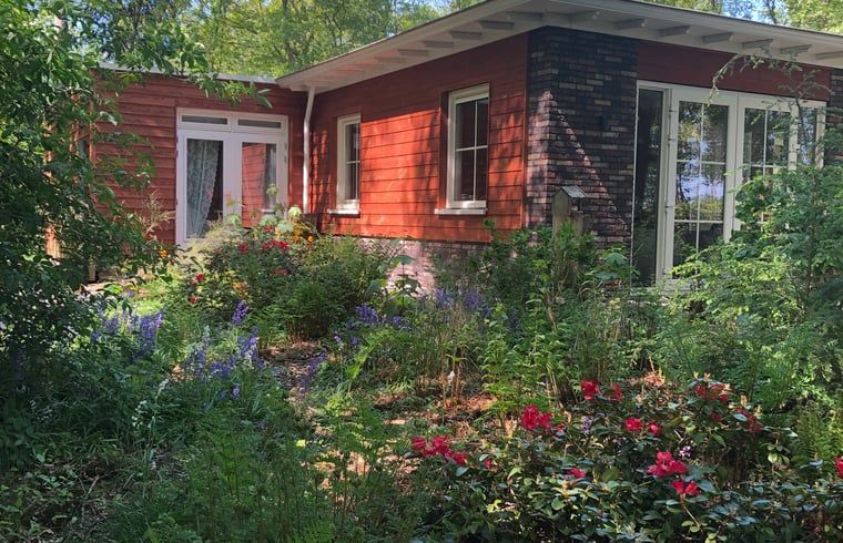 Bloeiende tuinen rondom Vakantiehuis in Bergentheim, omgeven door natuur in de Vechtstreek, Overijssel.