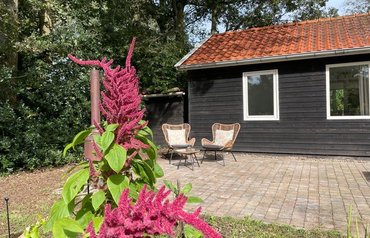 Ferienhaus in Lemele mit Terrasse und Garten in Vechtstreek, Overijssel.