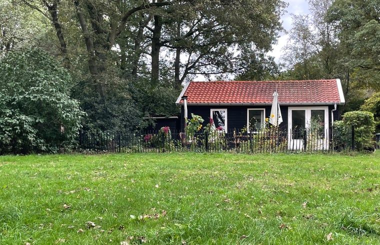 Gemuetliches Ferienhaus in Lemele inmitten der Natur in Vechtstreek, Overijssel.