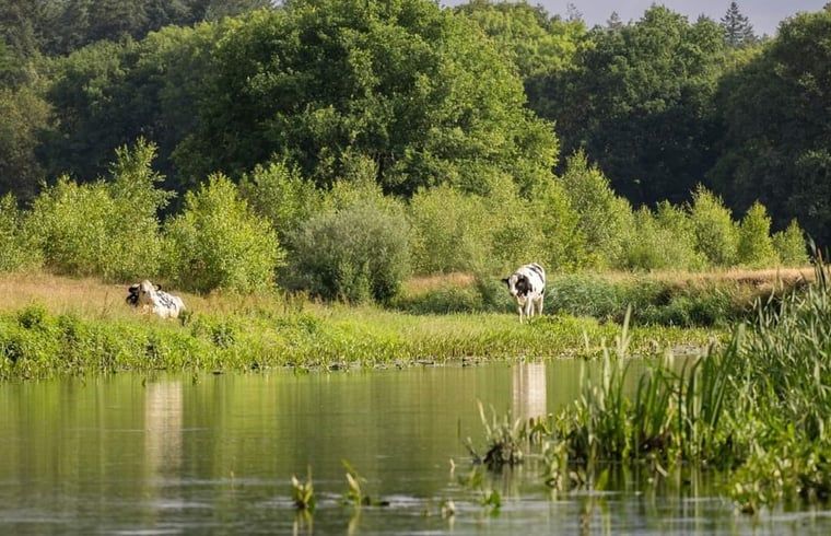 Unterkunft 542625 - Ferienhaus Vechtstreek - Vakantiehuisje in Lemele