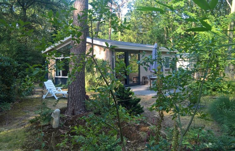 Unterkunft 542626 - Ferienhaus Vechtstreek - Vakantiehuisje in Lemele